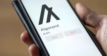 Fordulat jeleit mutatja az Algorand